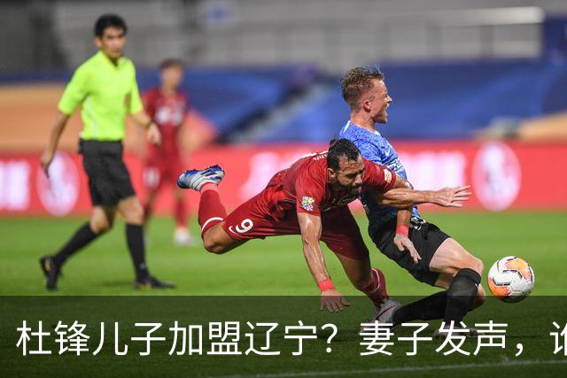 杜锋儿子加盟辽宁？妻子发声，谁注意妻子去向，计划曝光
